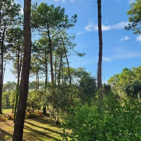 Plage, Domaine Du Golf De Pinsolle